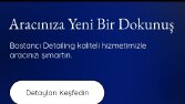 The bostancı detailin adlı firma için web site