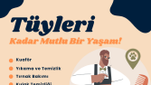 Sosyal Medya İçerik Tasarım