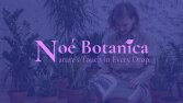 Noé Botanica