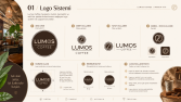Lumos Coffee - Konsept Branding Kit