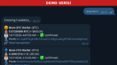 Kripto ödeme takip Telegram botu (müşteri projesi, demo veri