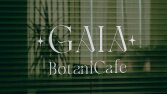 Gaia Logo Tasarımı