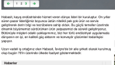Habasit Holding Websitesinin Türkçeye Çevrilmesi