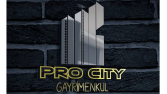 ✨ProCity Gayrimenkul✨