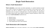 Rochester Hills Dentistry Web Sitesi İçeriği