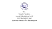 YÜKSEK LİSANS TEZ DÜZENLEMESİ