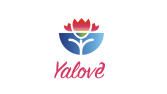 Yalova Konsept Şehir Logosu