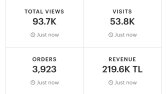 Etsy Dijital Satış Örnek Kazançlar
