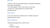 İçerik Planı + Reels Fikri + Stratejik Yönlendirme