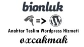 Anahtar Teslim Wordpress Hizmeti