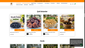 Profesyonel web sitesi