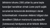 Zeolit Faydaları 