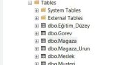 MSSQL Veritabanı