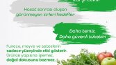 HER FİRMAYA UYGUN SOSYAL MEDYA TASARIMLARI