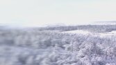 Motion (Hareketli) Tasarımlar