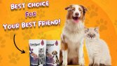 Kedi-Köpek Maması Sosyal Medya Reklam Tasarımı