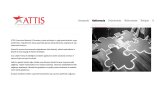 Attis Co. Web Sitesi Hakkımızda Yazısı ve İçerikleri