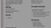 Konsept Logo Tasarımı 
