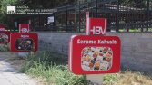 Üniversite Seslendirme