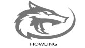 Profesyonel Logo Tasarımı 