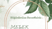 Davetiye Tasarımı: Şıklığın ve Zarafetin Buluşma Noktası