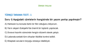 Word Belgesi Formatlama ve Örnek Soru Dizgisi Çalışması