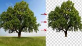 Ben, fotoğraf ve ürün görsellerinize dekupe işlemi yaparım