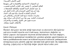 Multilingual Arabic Translation Samples – 4 Languages