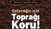 Konsept İnstagram Çalışmalarım