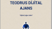 REKLAM AJANSI SUNUM