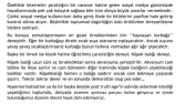 İnternet siteniz için ilgi çekici yazıları hazırlayabilirim