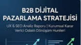 B2B Dijital Pazarlama ve SEO Analizi