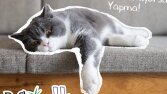Reflex Mama-Sosyal Medya İçeriği