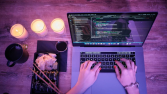 WEB DEVELOPER