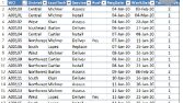 Excel Veri Girişi ve Düzenleme Çalışması