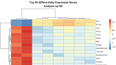 DEG (Differentially Expressed Genes) analizi