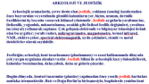 İngilizce-Türkçe Çeviri