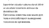 Ana Dil Seviyesinde Çeviri