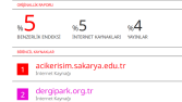 Turnitin Raporu