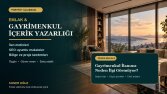 Makale & Blog Yayıncılığı