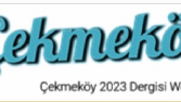 Dergi köşe yazısı