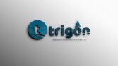 Trigon Kurumsal Logo Tasarımları