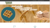 Website yapımı