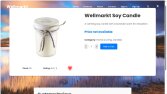 Web Sitesi Teslimi