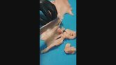 İstediğiniz tarzda reklam videosu yapabilirim