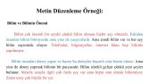 Profesyonel Redaksiyon ve Metin Düzenleme