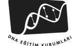 DNA Eğitim Kurumları Logo çalışması