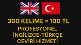 Çevirmenlik