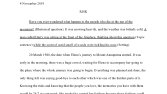Essay yazabiliriz