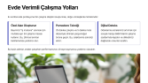 Hızlı ve SEO Uyumlu Makale Yazımı